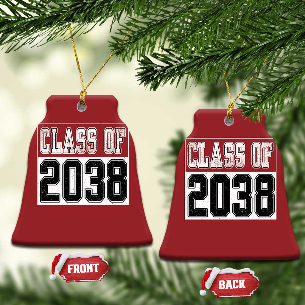 Class of 2038 Christmas Ornament Grow With Me To Graduation TS10