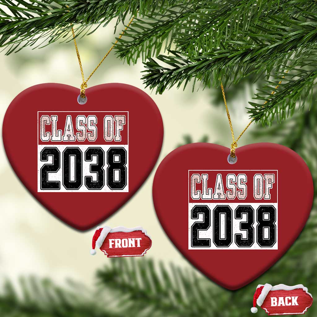 Class of 2038 Christmas Ornament Grow With Me To Graduation TS10