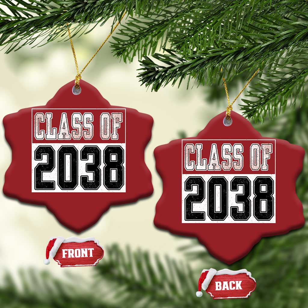Class of 2038 Christmas Ornament Grow With Me To Graduation TS10