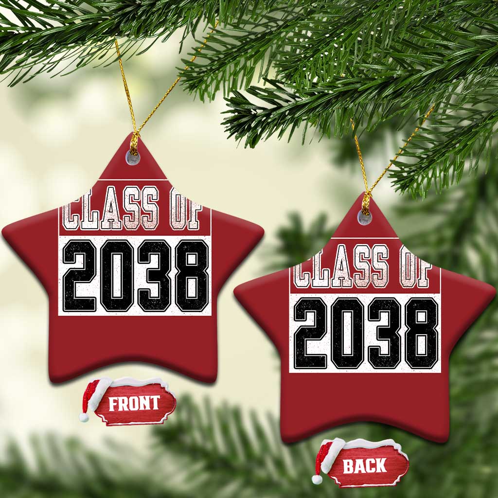 Class of 2038 Christmas Ornament Grow With Me To Graduation TS10