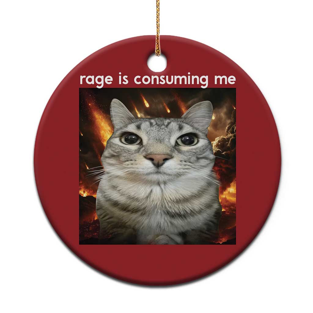 Rage Is Consuming Me Cat Christmas Ornament Funny Weird Humor Silly Cat Meme TS10