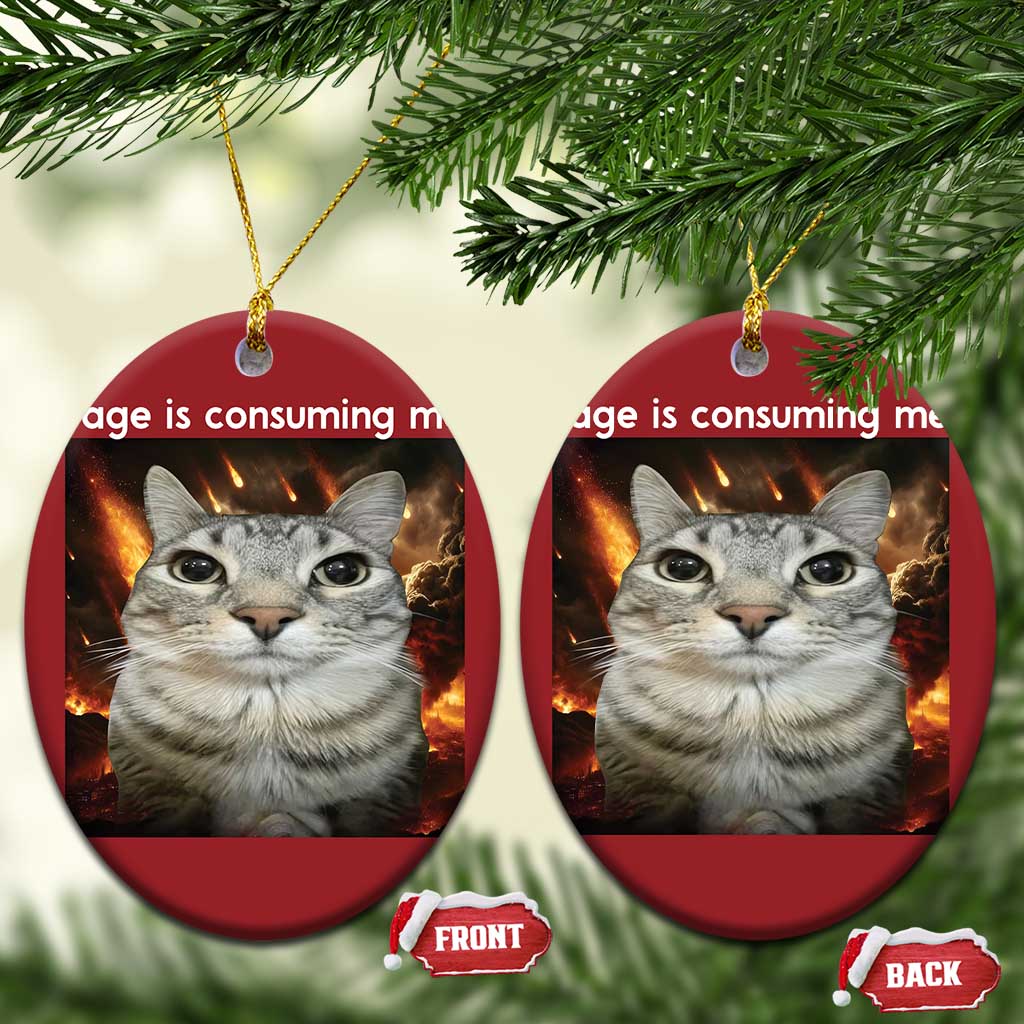 Rage Is Consuming Me Cat Christmas Ornament Funny Weird Humor Silly Cat Meme TS10
