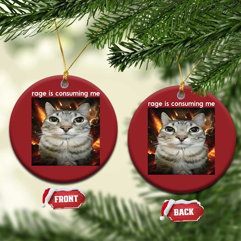 Rage Is Consuming Me Cat Christmas Ornament Funny Weird Humor Silly Cat Meme TS10