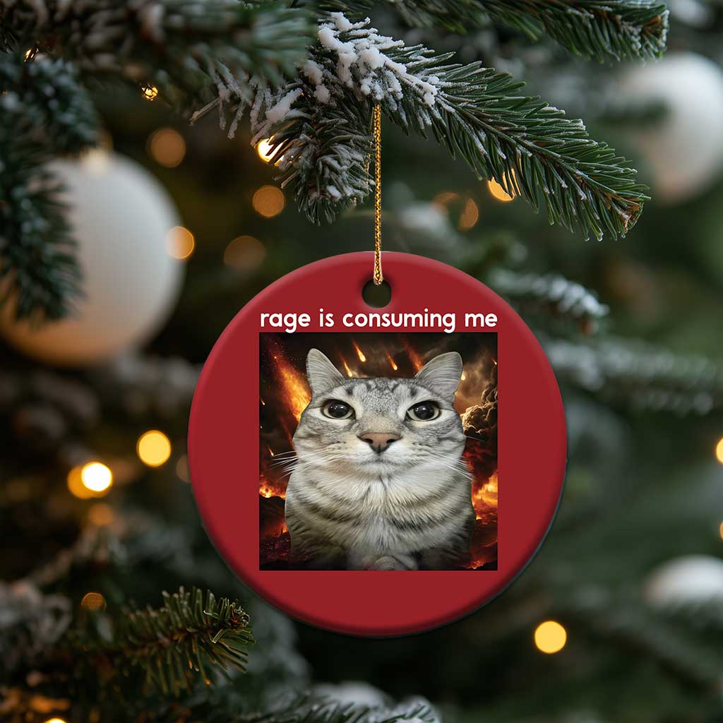 Rage Is Consuming Me Cat Christmas Ornament Funny Weird Humor Silly Cat Meme TS10