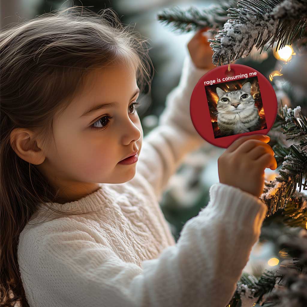 Rage Is Consuming Me Cat Christmas Ornament Funny Weird Humor Silly Cat Meme TS10