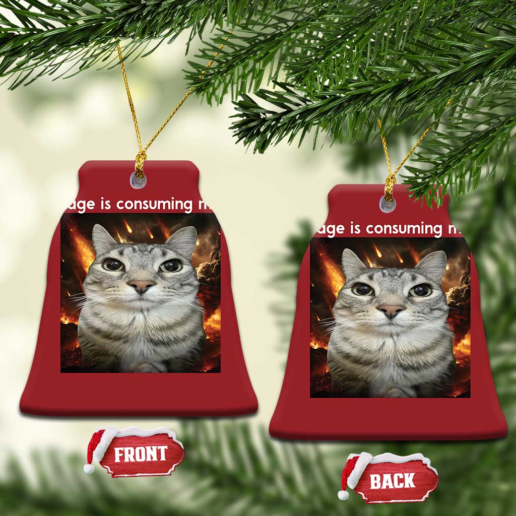 Rage Is Consuming Me Cat Christmas Ornament Funny Weird Humor Silly Cat Meme TS10