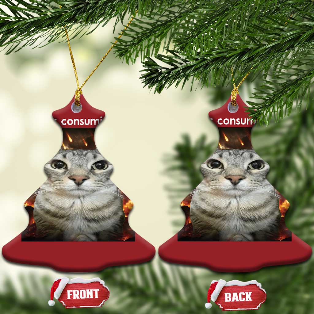 Rage Is Consuming Me Cat Christmas Ornament Funny Weird Humor Silly Cat Meme TS10
