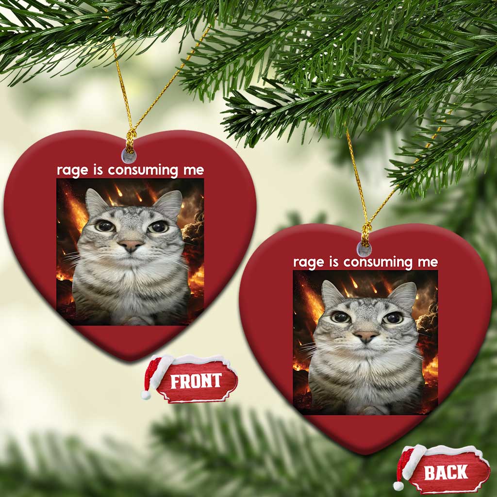 Rage Is Consuming Me Cat Christmas Ornament Funny Weird Humor Silly Cat Meme TS10