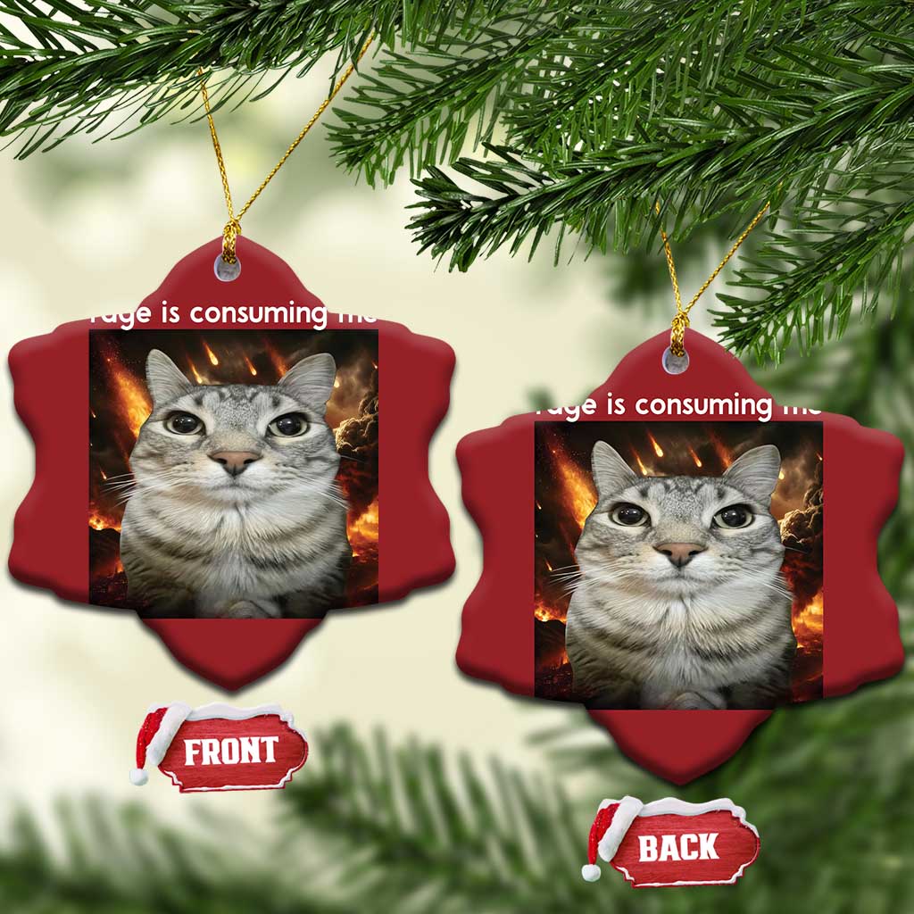 Rage Is Consuming Me Cat Christmas Ornament Funny Weird Humor Silly Cat Meme TS10