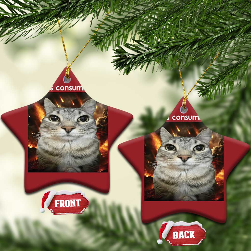 Rage Is Consuming Me Cat Christmas Ornament Funny Weird Humor Silly Cat Meme TS10
