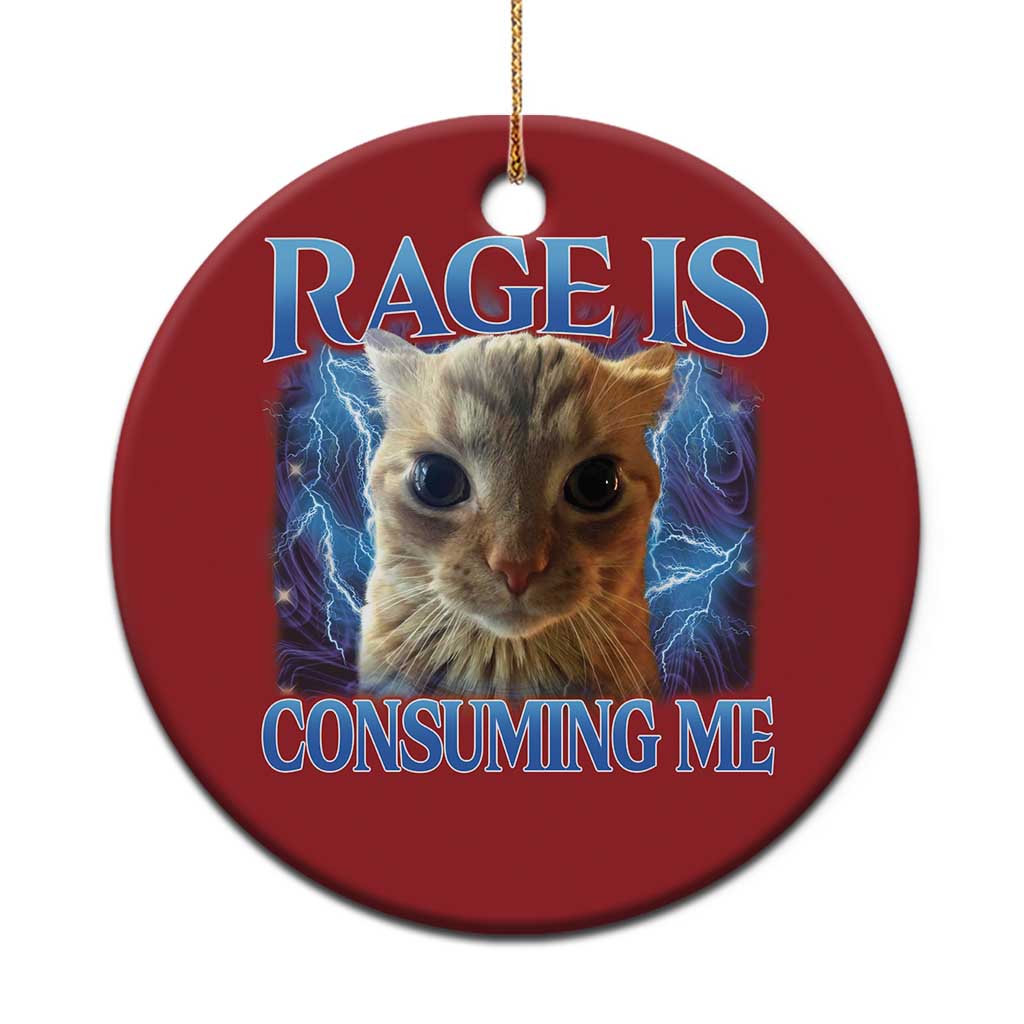 Rage Is Consuming Me Cat Meme Christmas Ornament Funny Weird Humor Cat Face Bootleg TS10