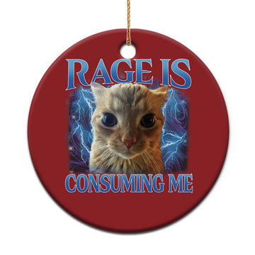 Rage Is Consuming Me Cat Meme Christmas Ornament Funny Weird Humor Cat Face Bootleg TS10