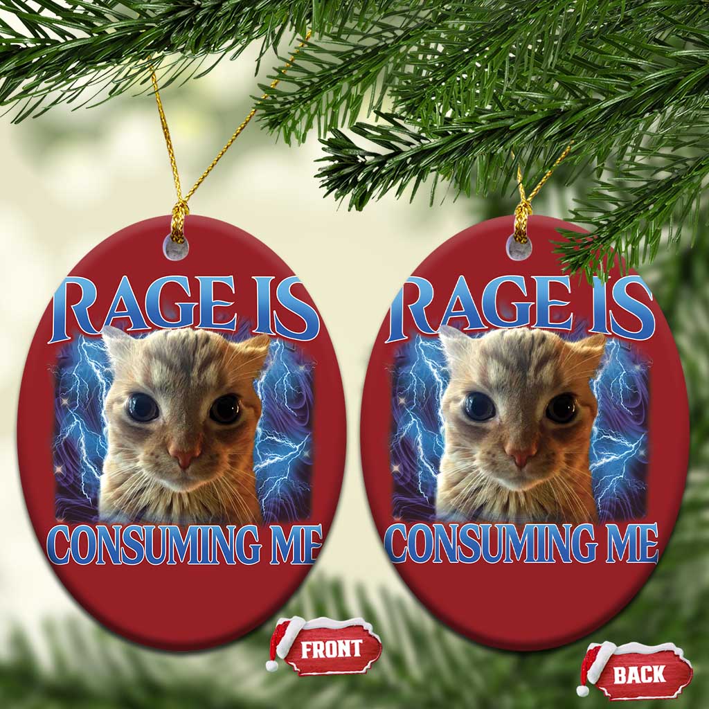 Rage Is Consuming Me Cat Meme Christmas Ornament Funny Weird Humor Cat Face Bootleg TS10