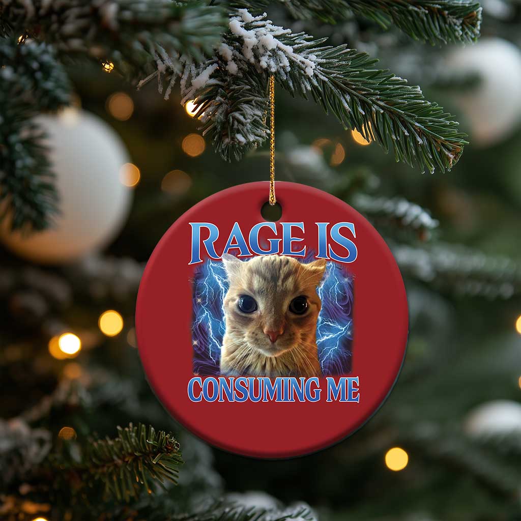 Rage Is Consuming Me Cat Meme Christmas Ornament Funny Weird Humor Cat Face Bootleg TS10