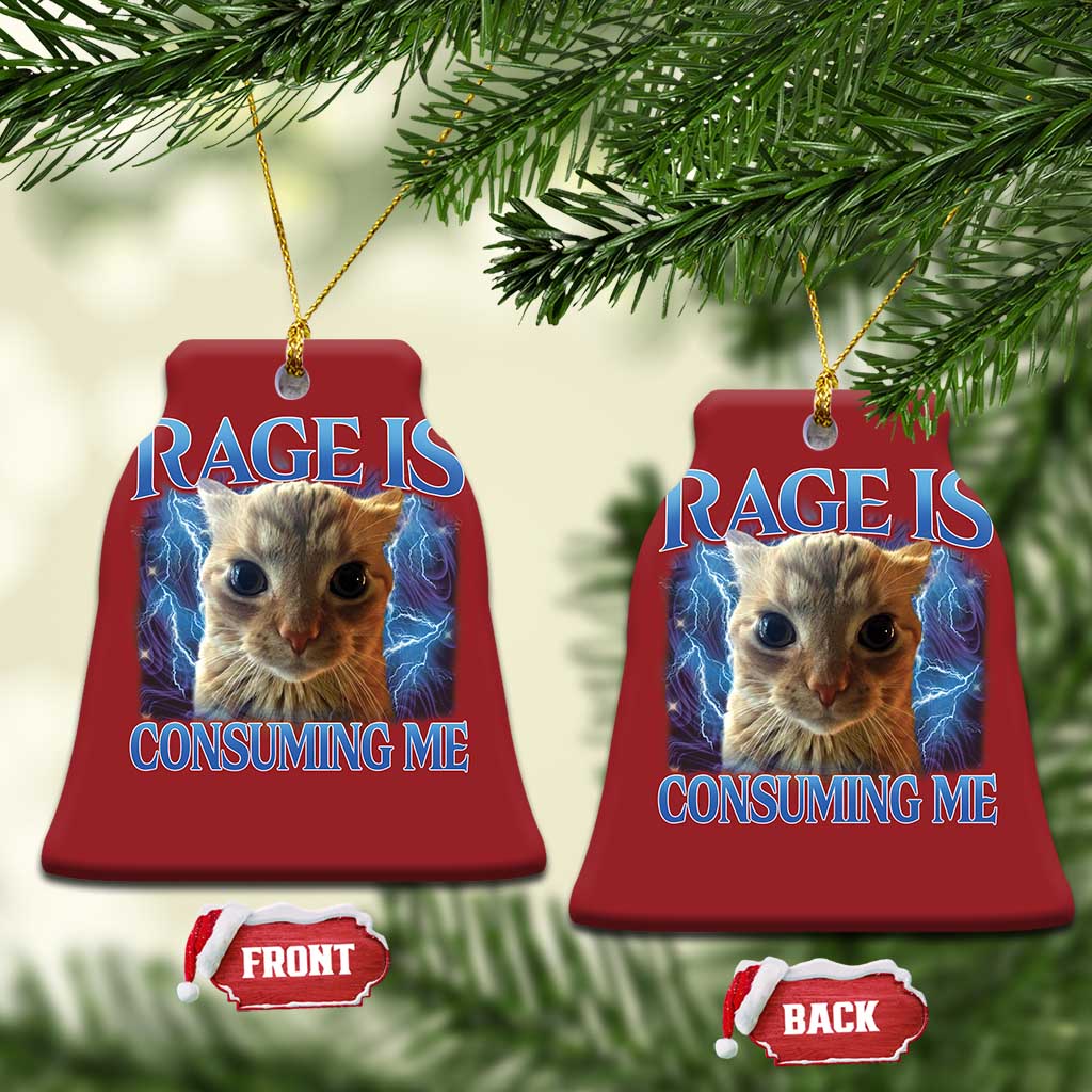 Rage Is Consuming Me Cat Meme Christmas Ornament Funny Weird Humor Cat Face Bootleg TS10