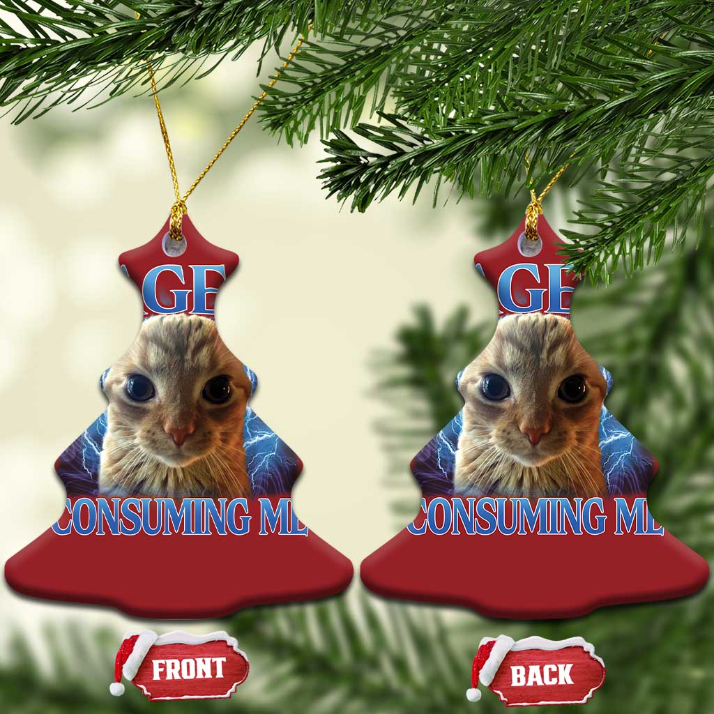 Rage Is Consuming Me Cat Meme Christmas Ornament Funny Weird Humor Cat Face Bootleg TS10