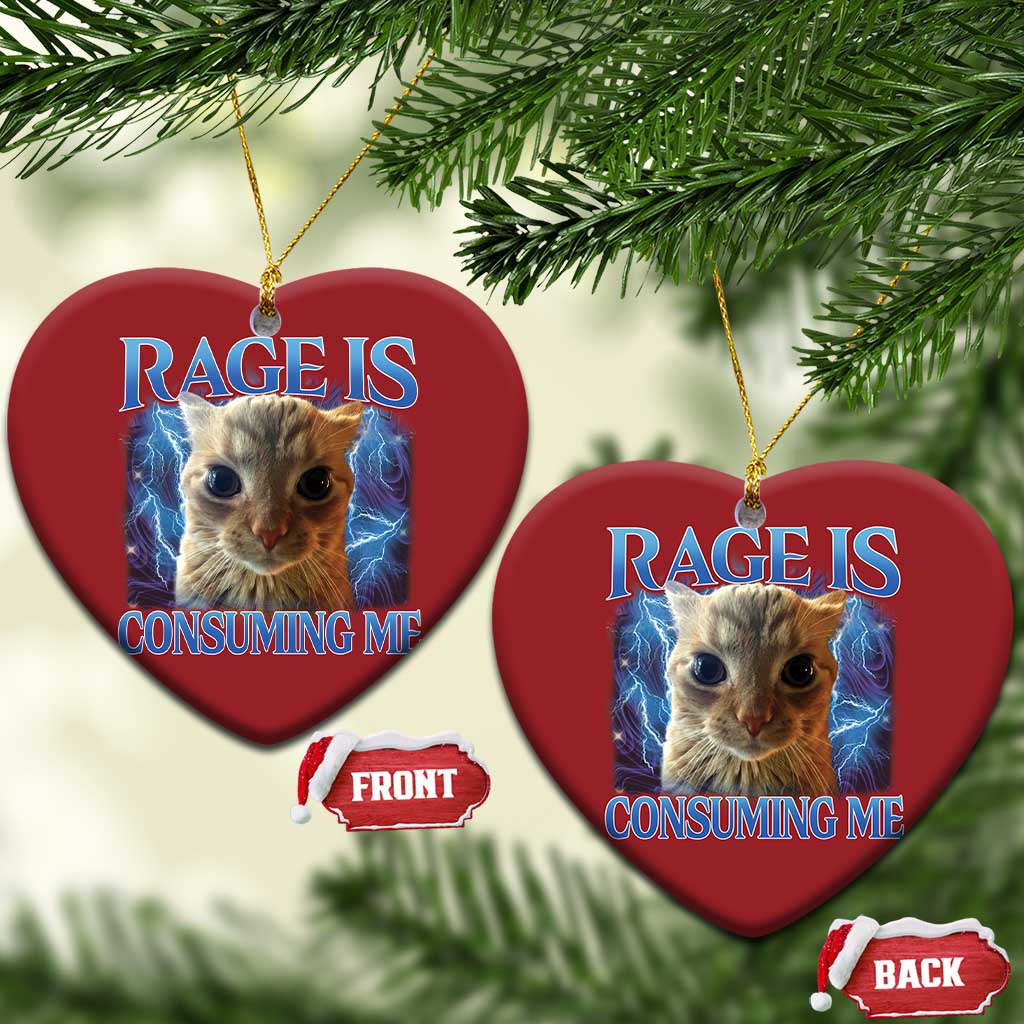 Rage Is Consuming Me Cat Meme Christmas Ornament Funny Weird Humor Cat Face Bootleg TS10