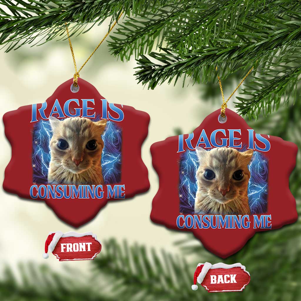 Rage Is Consuming Me Cat Meme Christmas Ornament Funny Weird Humor Cat Face Bootleg TS10