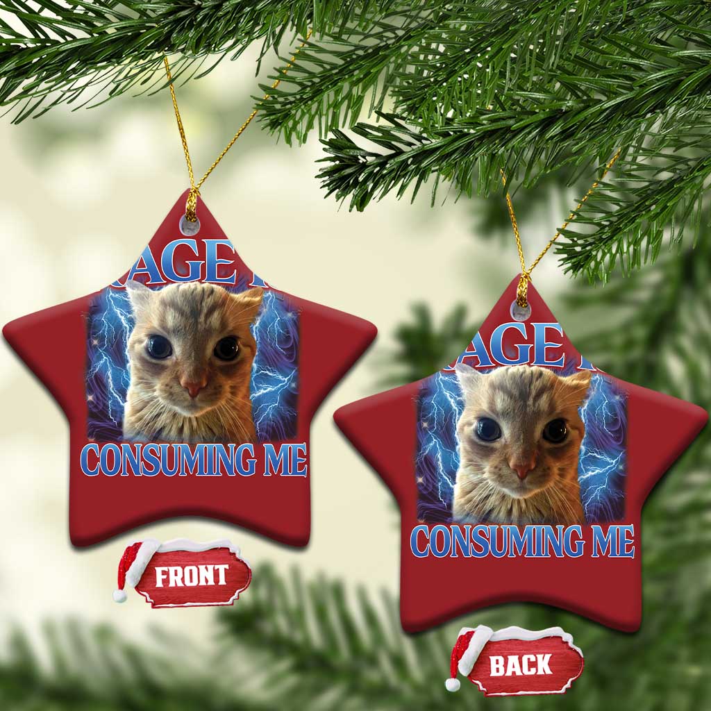 Rage Is Consuming Me Cat Meme Christmas Ornament Funny Weird Humor Cat Face Bootleg TS10