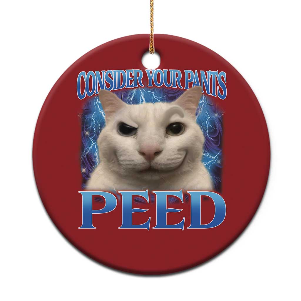 Meme Cat Christmas Ornament Funny Weird Humor Consider Your Pants Peed TS10