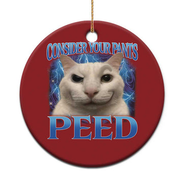 Meme Cat Christmas Ornament Funny Weird Humor Consider Your Pants Peed TS10