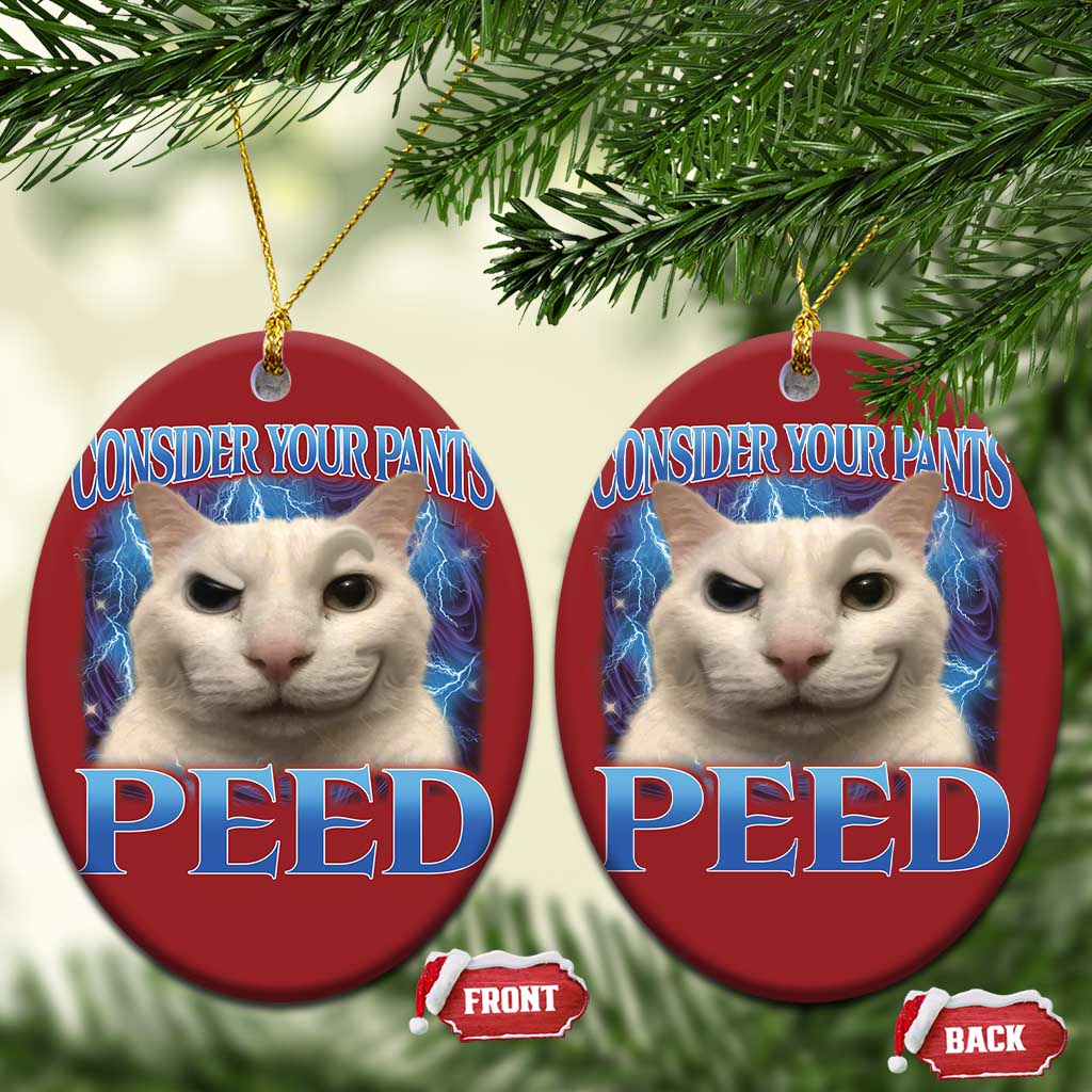 Meme Cat Christmas Ornament Funny Weird Humor Consider Your Pants Peed TS10