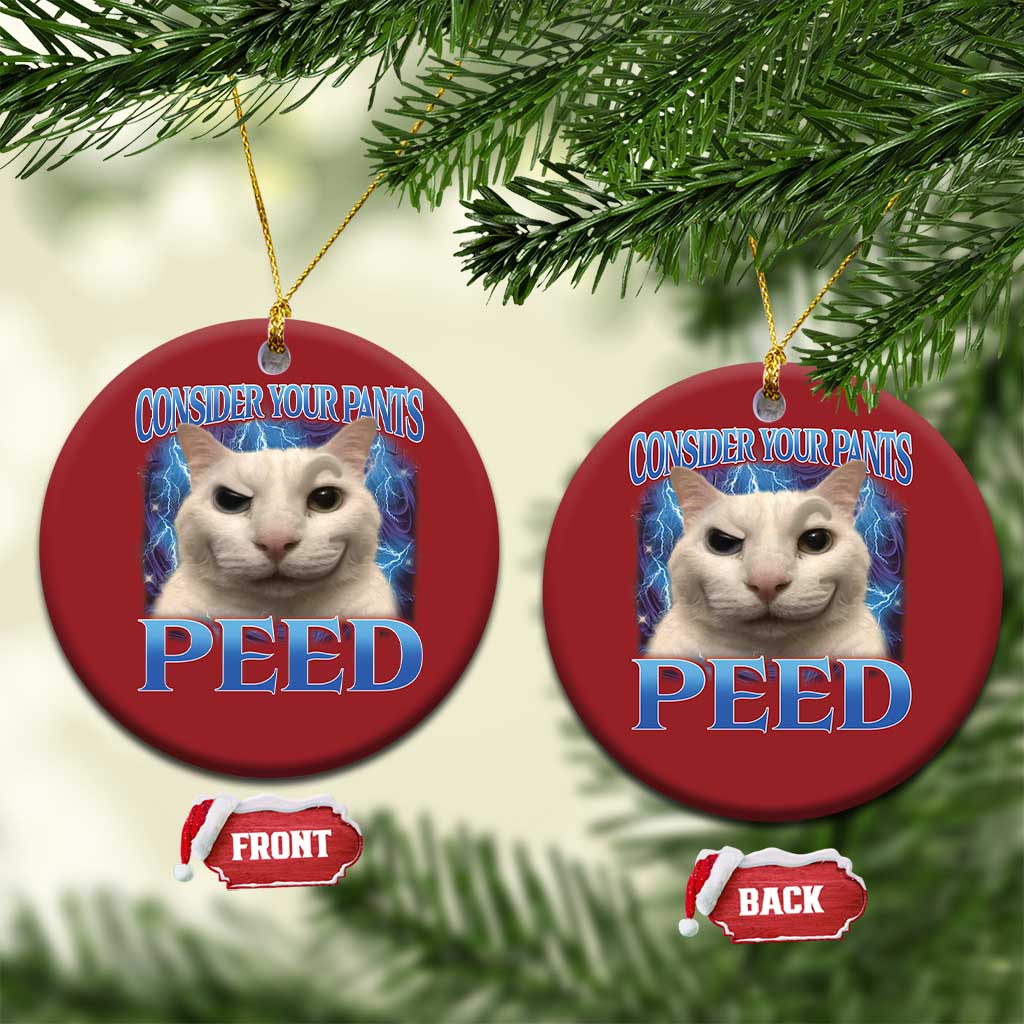 Meme Cat Christmas Ornament Funny Weird Humor Consider Your Pants Peed TS10