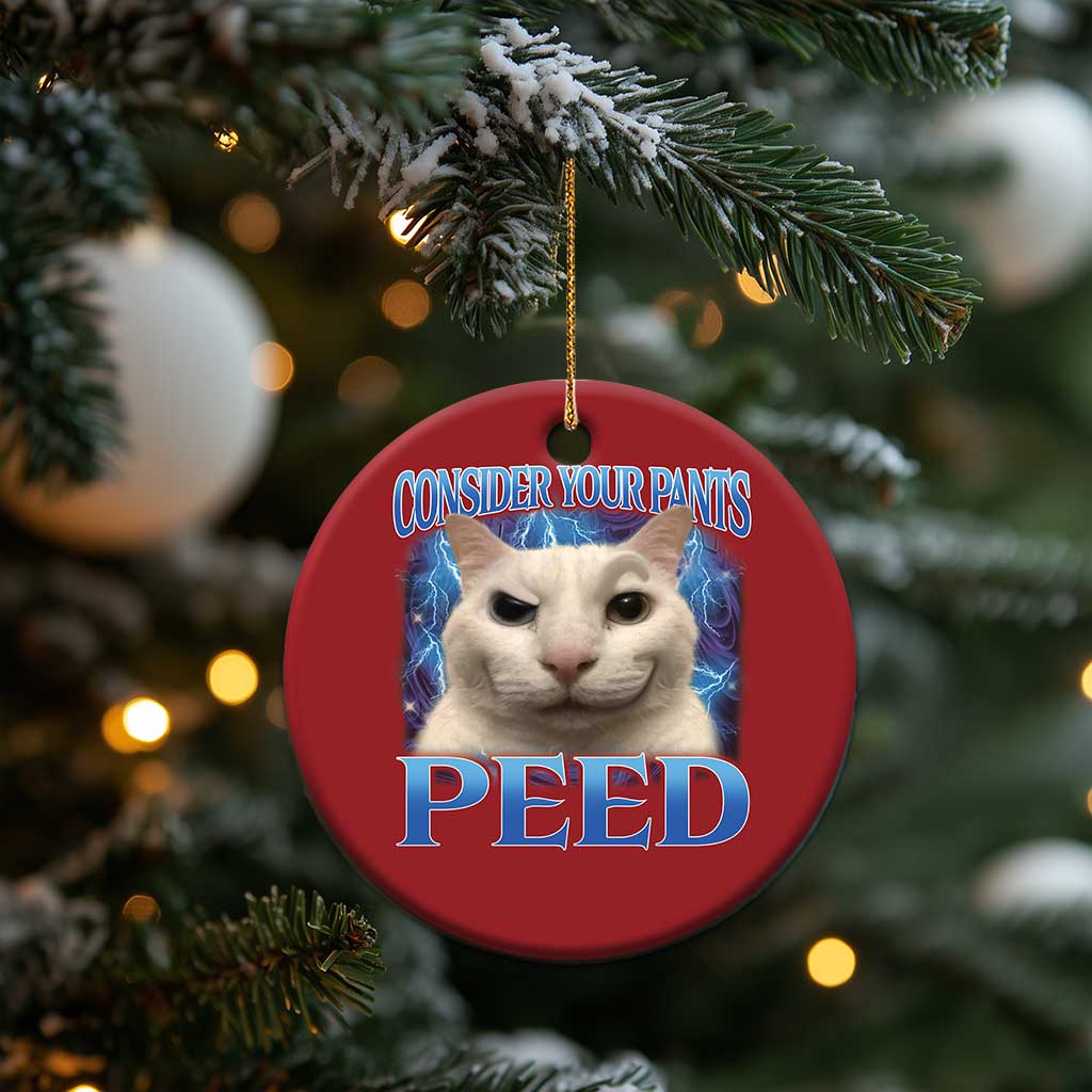 Meme Cat Christmas Ornament Funny Weird Humor Consider Your Pants Peed TS10