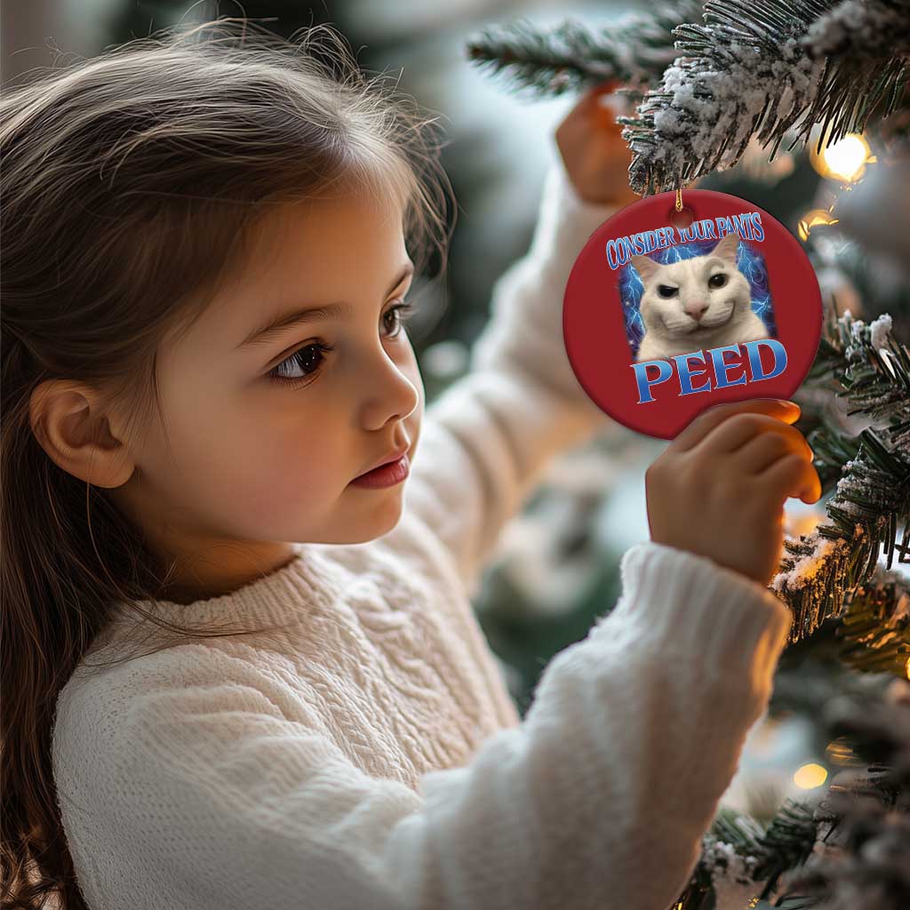 Meme Cat Christmas Ornament Funny Weird Humor Consider Your Pants Peed TS10