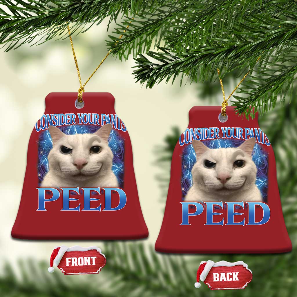 Meme Cat Christmas Ornament Funny Weird Humor Consider Your Pants Peed TS10