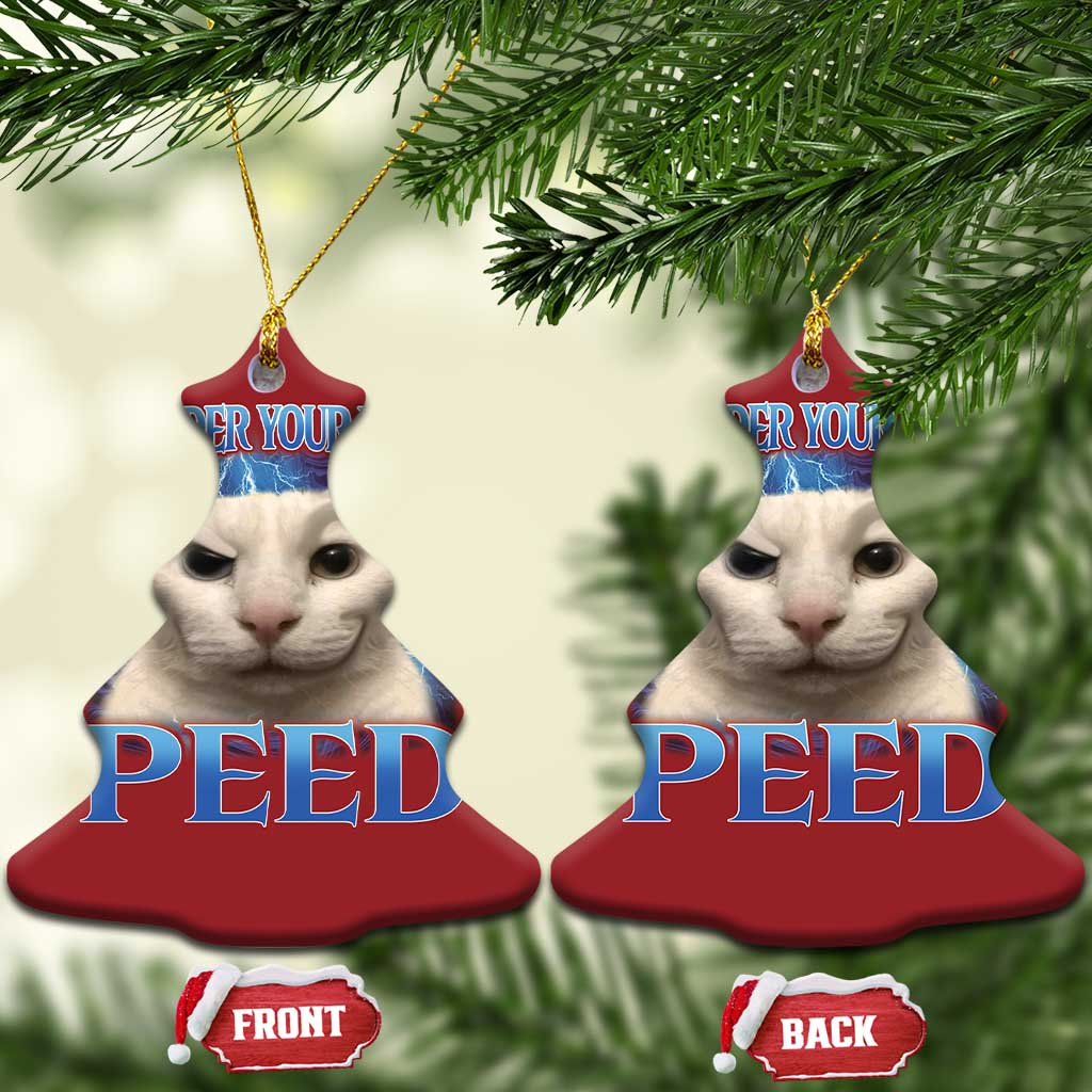 Meme Cat Christmas Ornament Funny Weird Humor Consider Your Pants Peed TS10