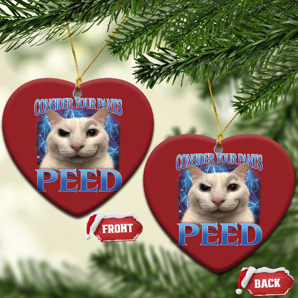 Meme Cat Christmas Ornament Funny Weird Humor Consider Your Pants Peed TS10