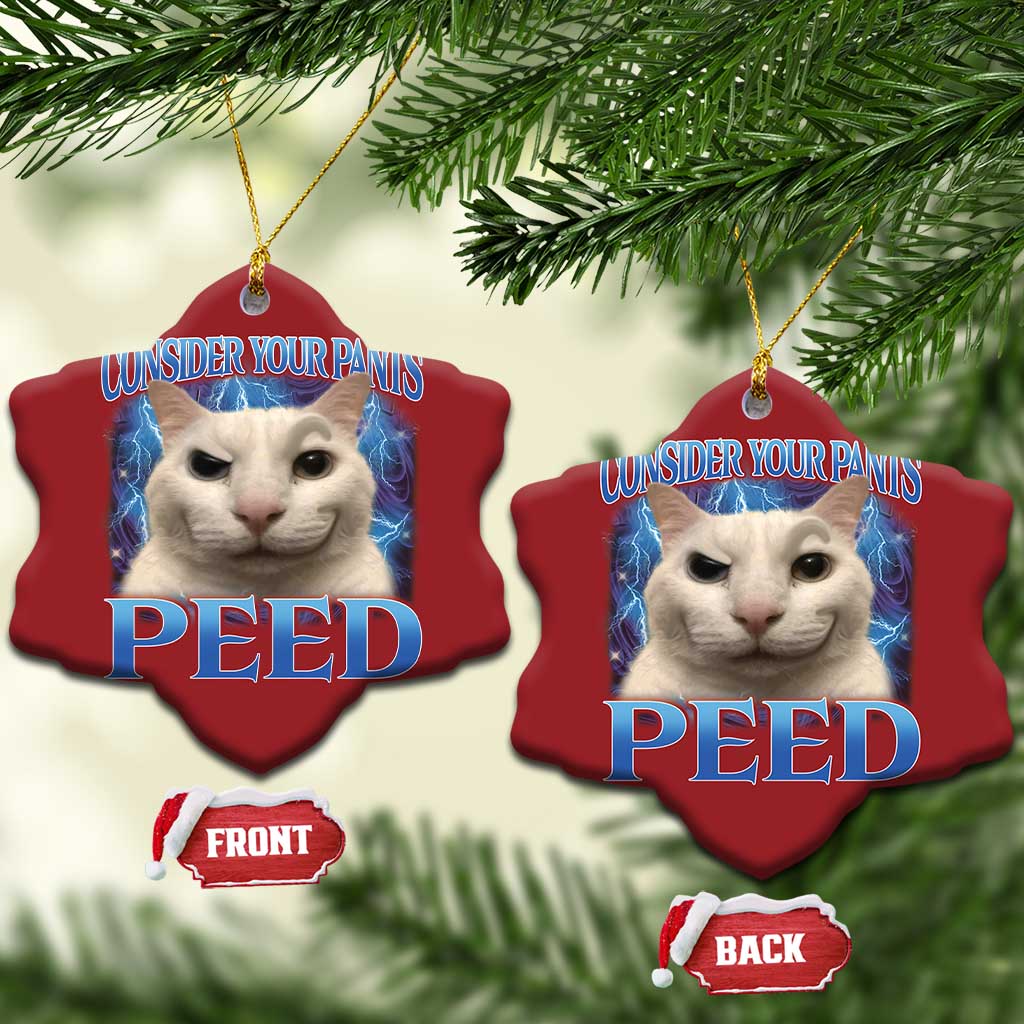 Meme Cat Christmas Ornament Funny Weird Humor Consider Your Pants Peed TS10