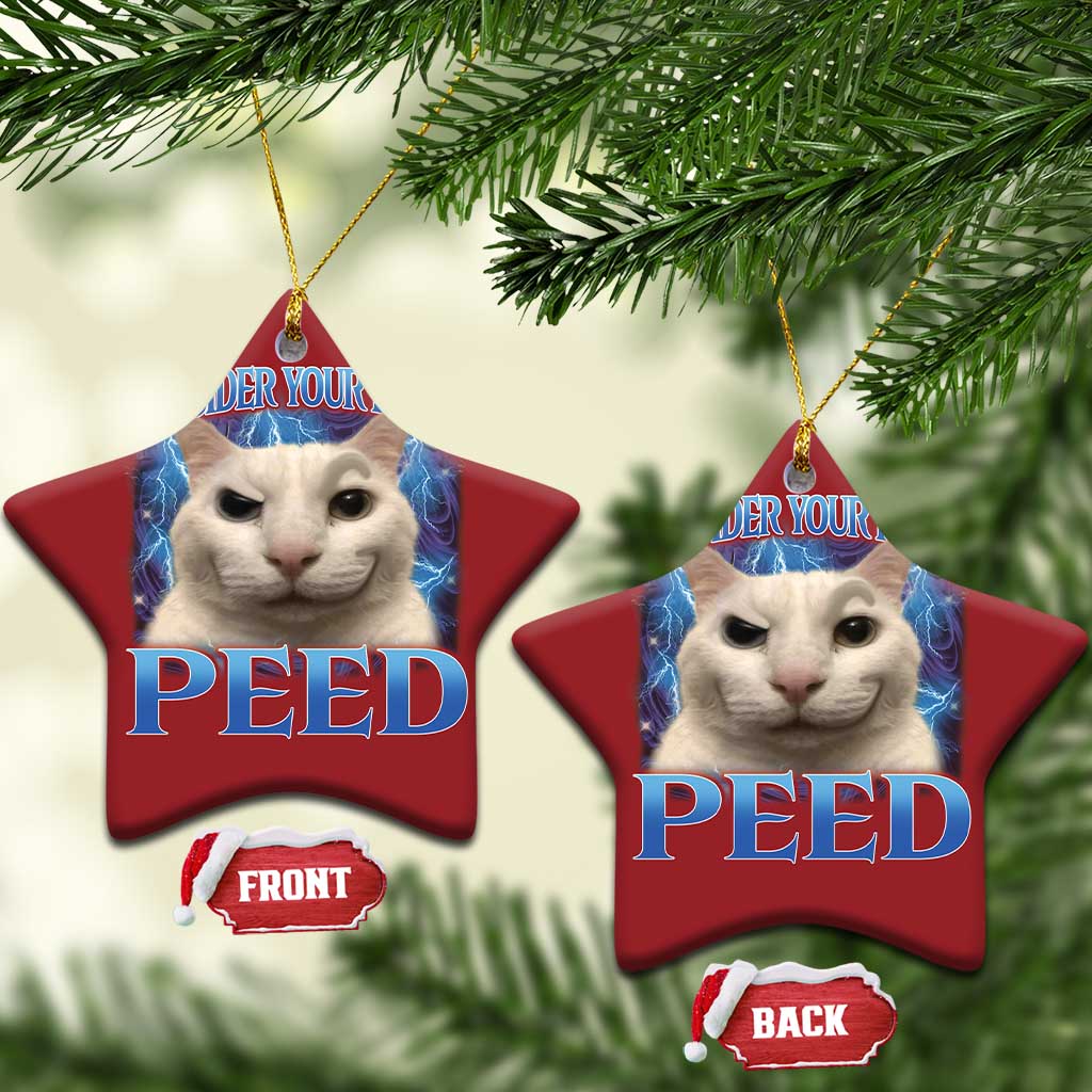 Meme Cat Christmas Ornament Funny Weird Humor Consider Your Pants Peed TS10