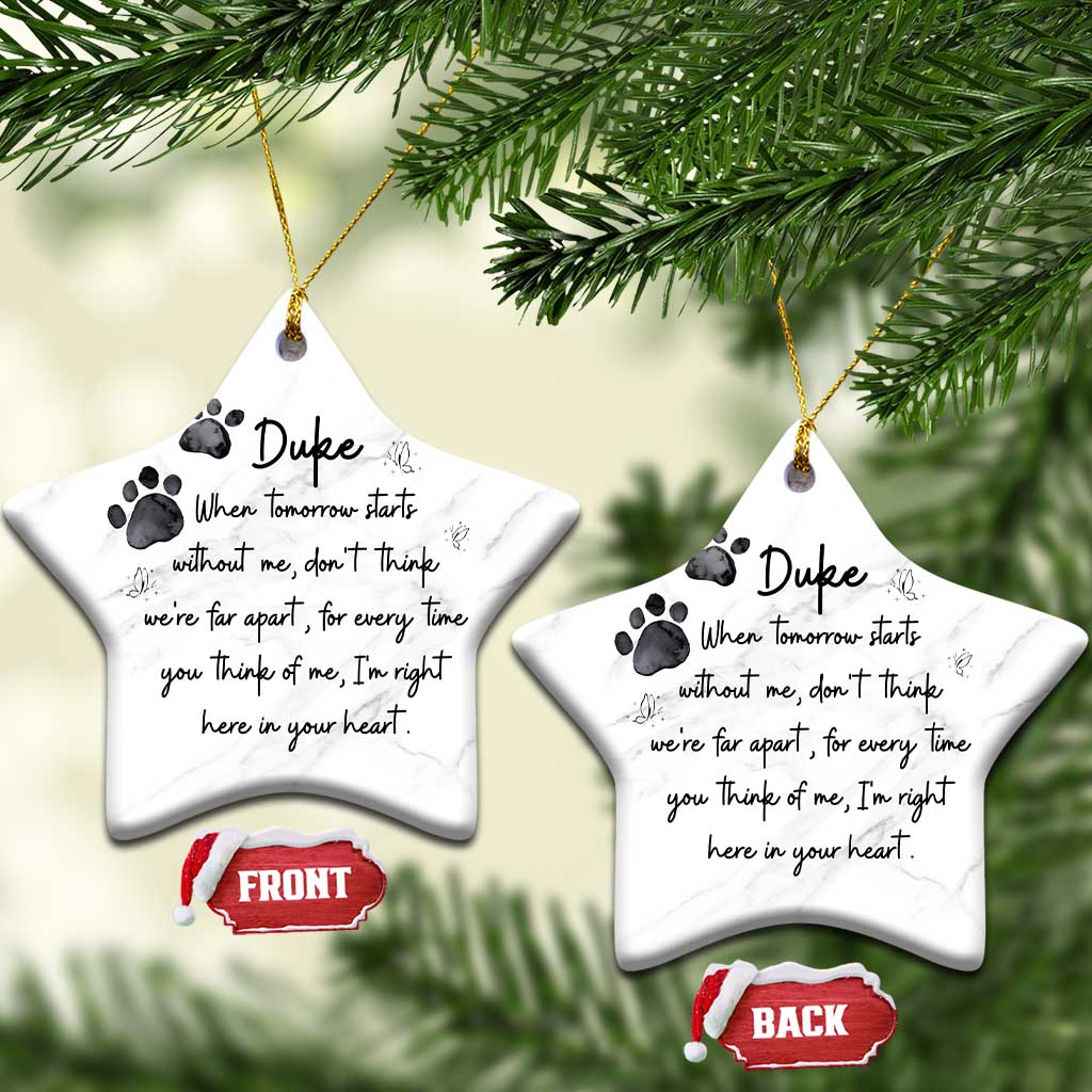 Personalized Pet Memorial Christmas Ornament Custom Name Cat Loss Dog Loss Pet Sympathy Gift TS10
