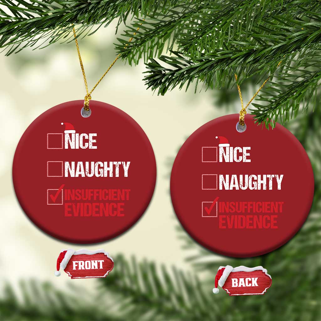 Santa Christmas Ornament Nice Naughty Insufficient Evidence Xmas List TS10
