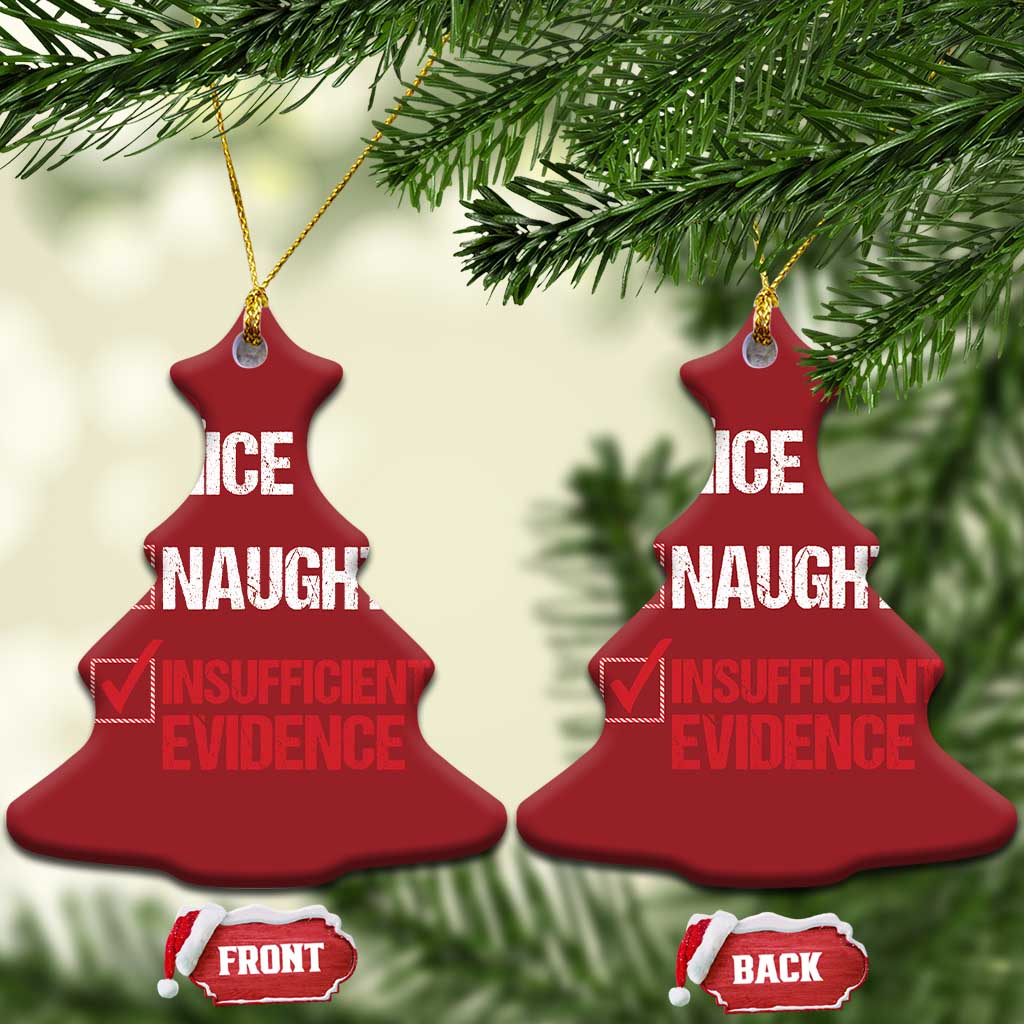 Santa Christmas Ornament Nice Naughty Insufficient Evidence Xmas List TS10