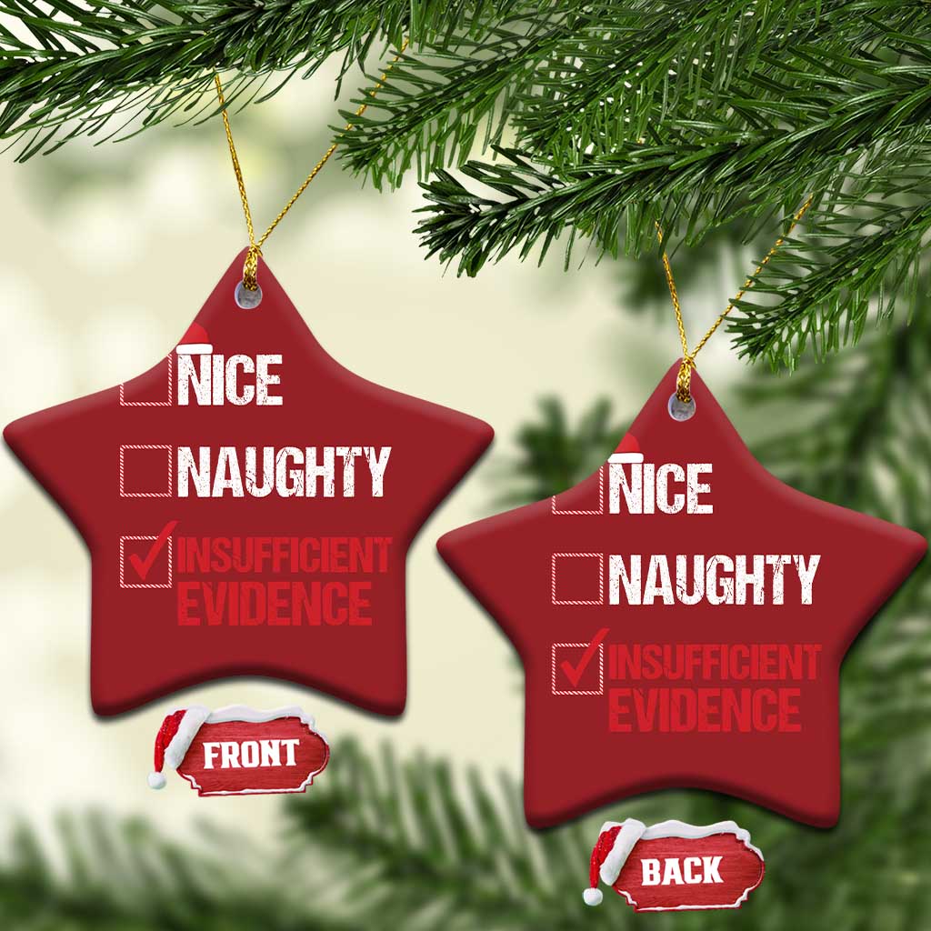 Santa Christmas Ornament Nice Naughty Insufficient Evidence Xmas List TS10