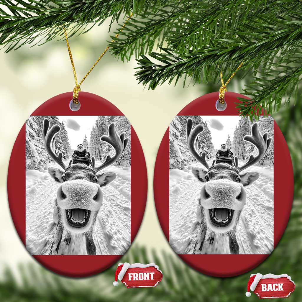 Funny Reindeer Selfie Christmas Ornament TS10