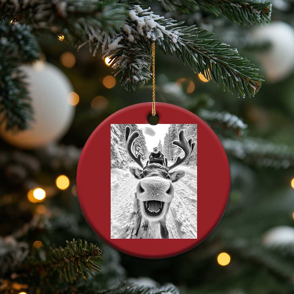 Funny Reindeer Selfie Christmas Ornament TS10