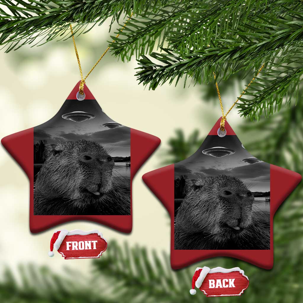 Funny Graphic Capybara Selfie with UFOs Weird Christmas Ornament TS10