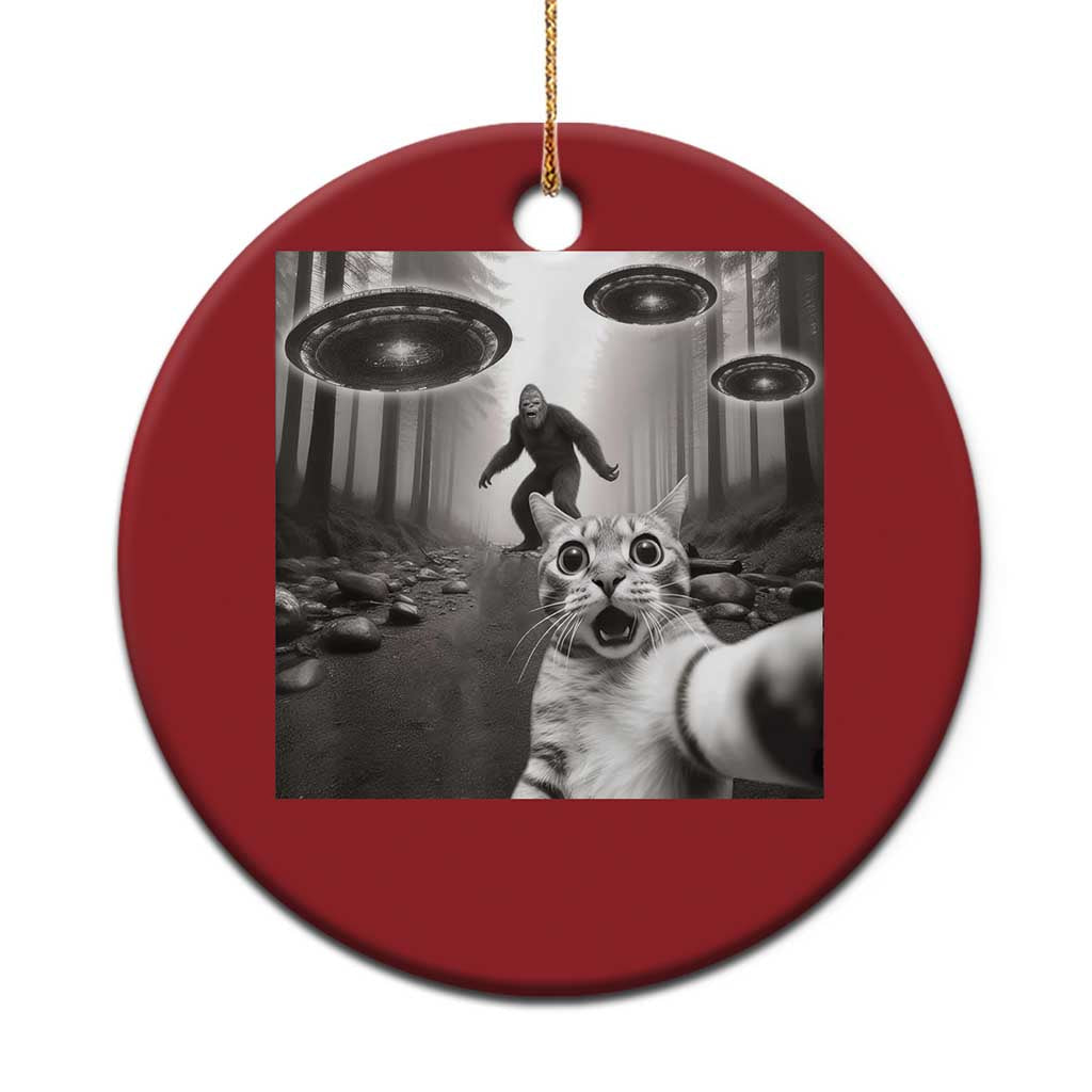 Cat Selfie With Bigfoot UFO Christmas Ornament Funny Cat Lover Gifts TS10