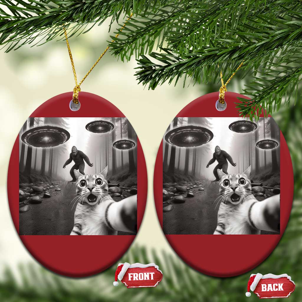 Cat Selfie With Bigfoot UFO Christmas Ornament Funny Cat Lover Gifts TS10