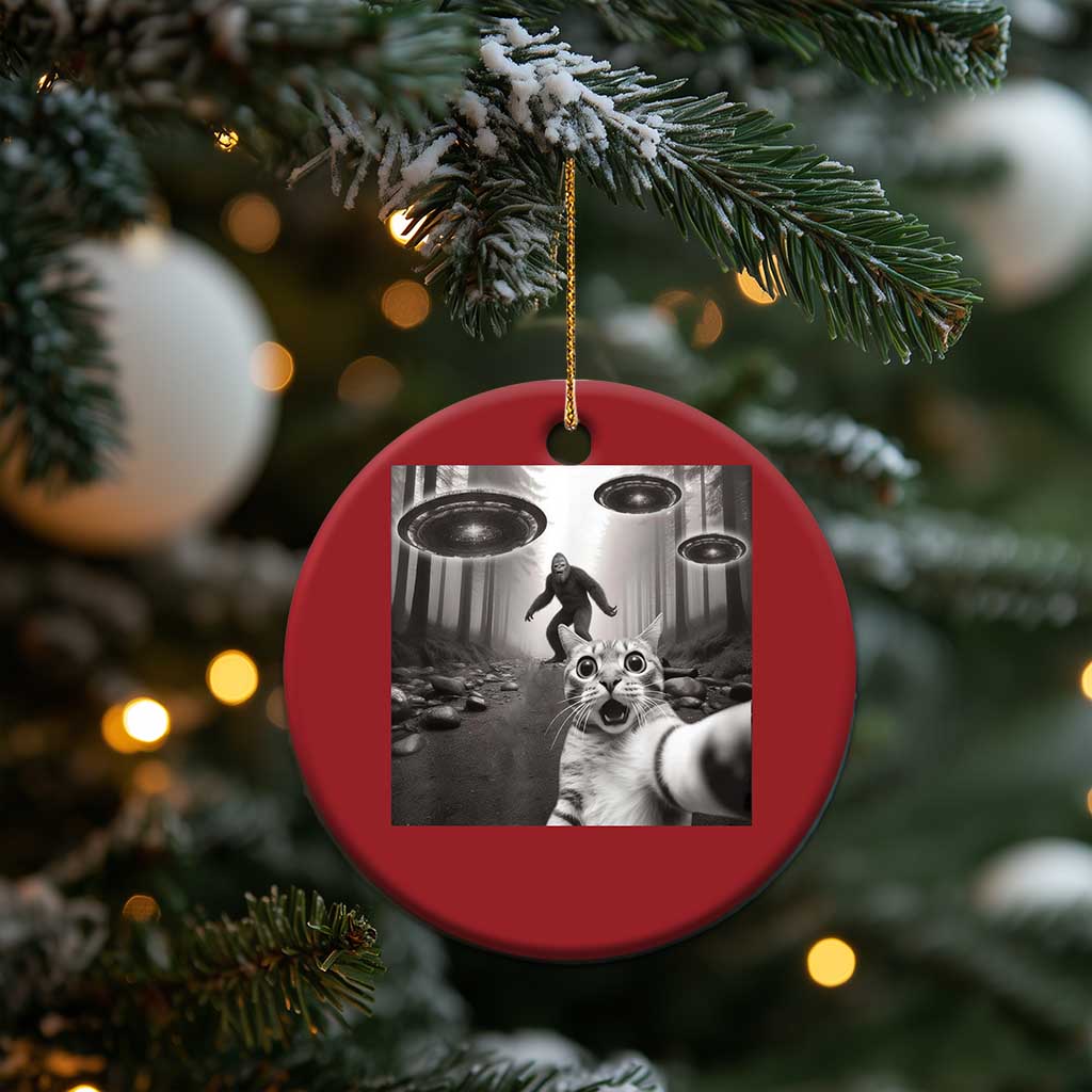 Cat Selfie With Bigfoot UFO Christmas Ornament Funny Cat Lover Gifts TS10