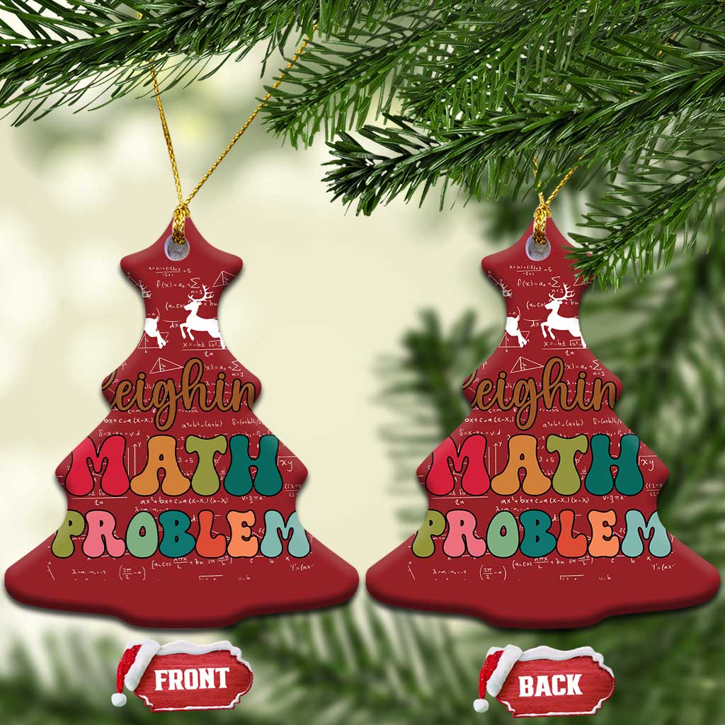 Math Teacher Christmas Ornament Sleighing Math Problem Xmas Gift TS10