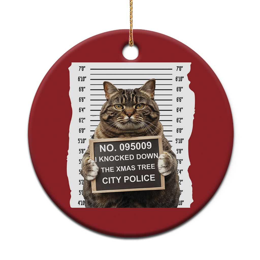 Funny Cat Xmas Christmas Ornament Mugshot I Knocked Down The Xmas Tree TS10