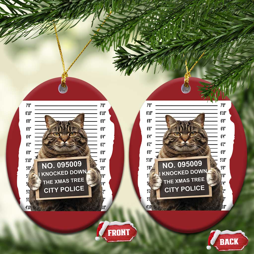 Funny Cat Xmas Christmas Ornament Mugshot I Knocked Down The Xmas Tree TS10