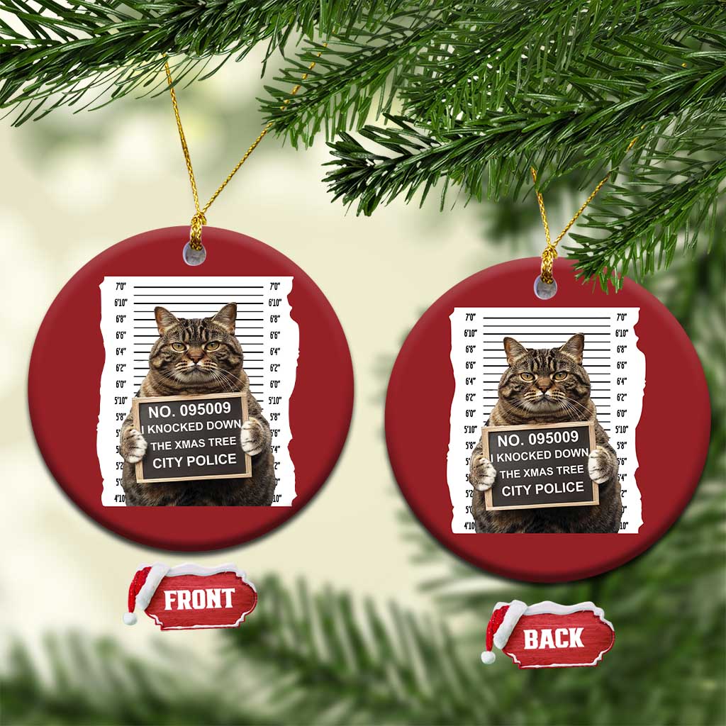 Funny Cat Xmas Christmas Ornament Mugshot I Knocked Down The Xmas Tree TS10