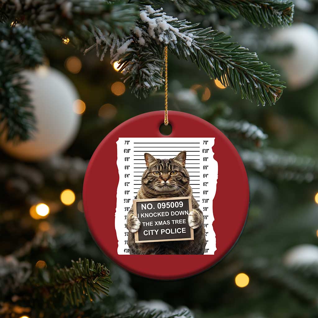 Funny Cat Xmas Christmas Ornament Mugshot I Knocked Down The Xmas Tree TS10