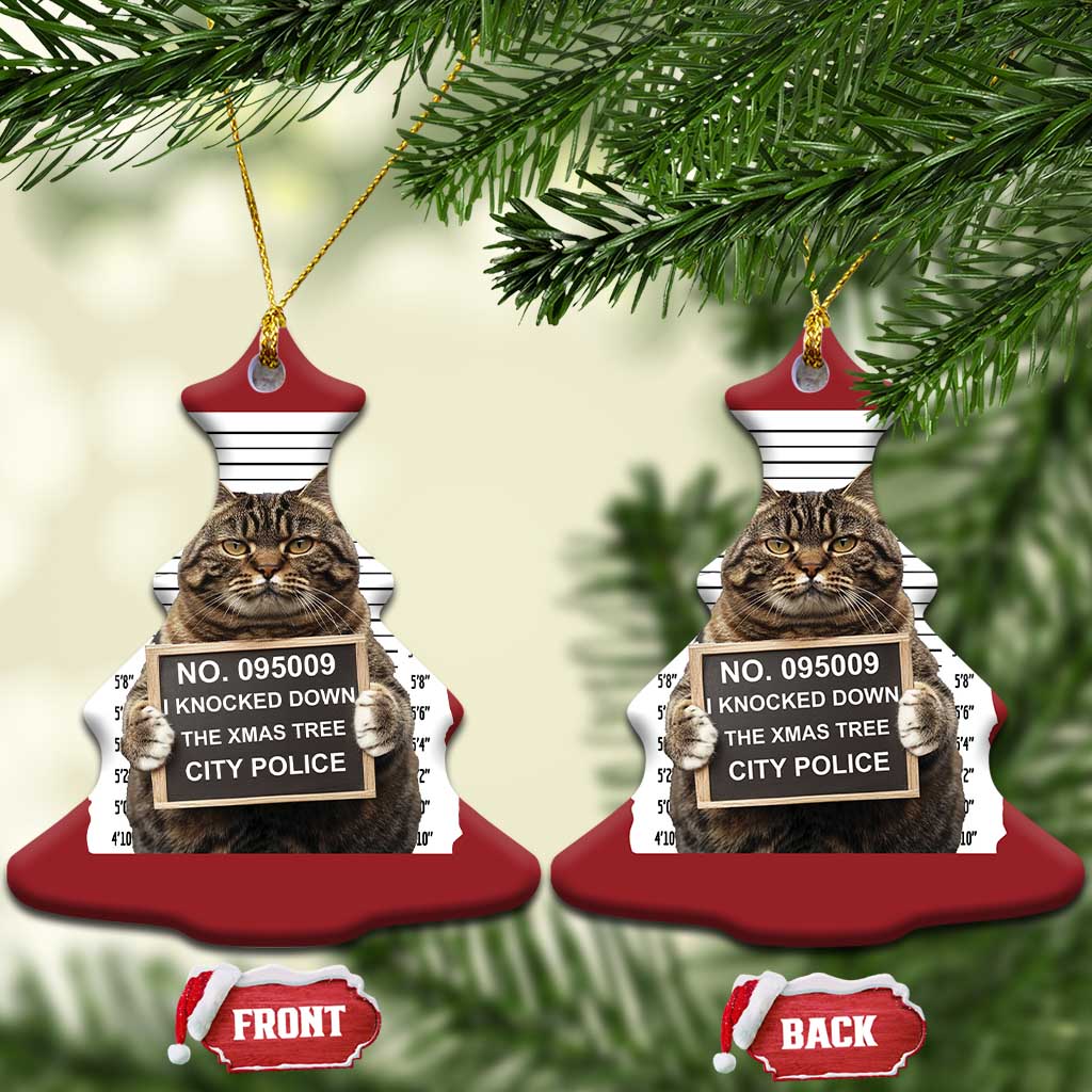 Funny Cat Xmas Christmas Ornament Mugshot I Knocked Down The Xmas Tree TS10